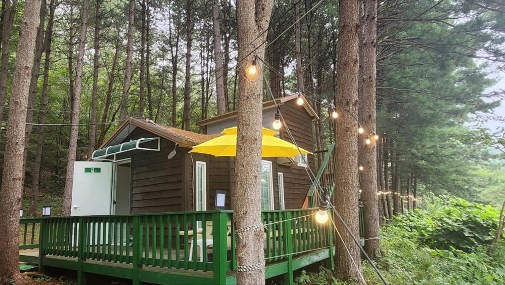 Hongcheon Gongjaksan Recreational Forest Pension 部屋 写真