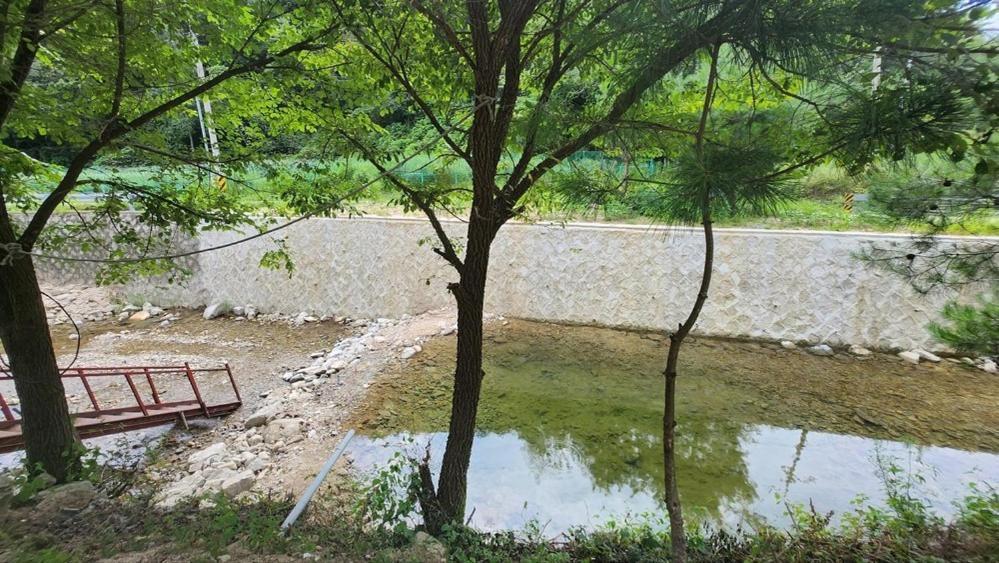 Hongcheon Gongjaksan Recreational Forest Pension エクステリア 写真