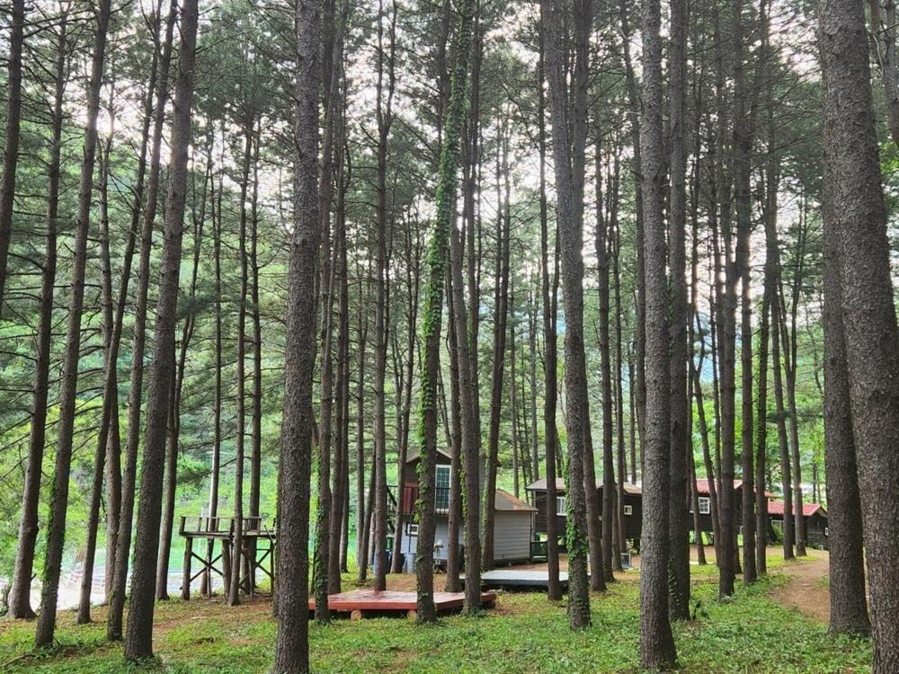 Hongcheon Gongjaksan Recreational Forest Pension エクステリア 写真