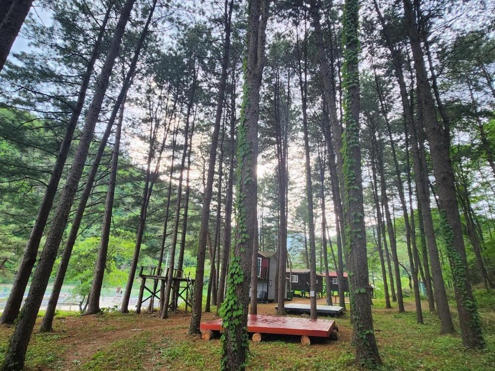 Hongcheon Gongjaksan Recreational Forest Pension エクステリア 写真