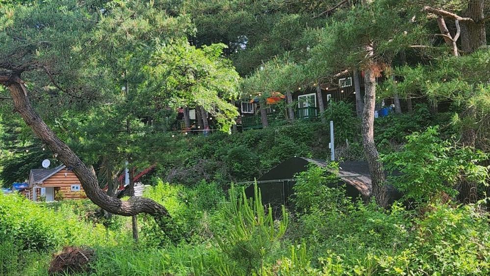 Hongcheon Gongjaksan Recreational Forest Pension エクステリア 写真